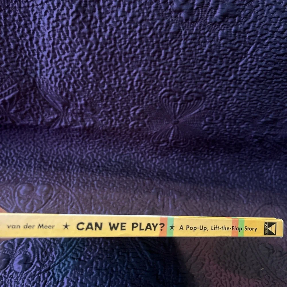 Can We Play? A Pop-up, Lift-the-Flap Story: A P... by Mara Van Der Meer Hardback